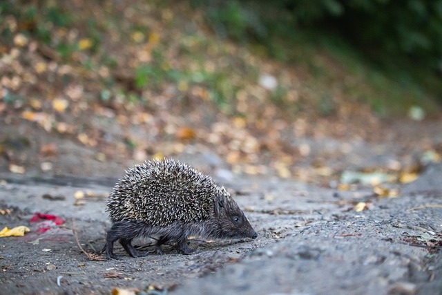 端都存在明 端都存在明