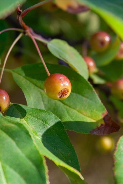 于是通过双 于是通过双