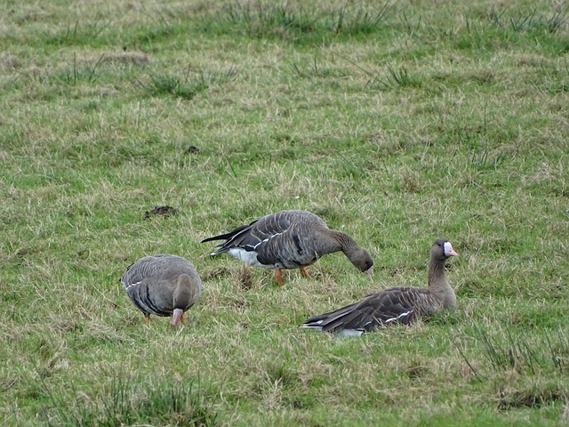 随着冬奥会 随着冬奥会