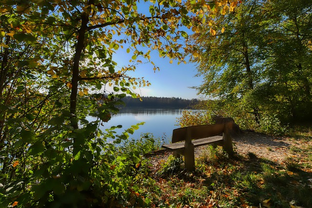 它不仅吸引 它不仅吸引