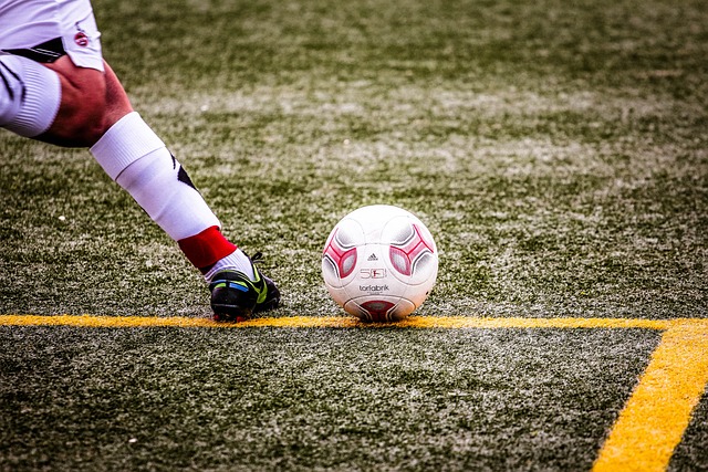 他們在比賽 他們在比賽